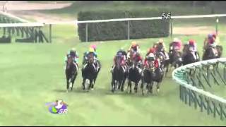 2013年 2歳新馬 / サトノアラジン