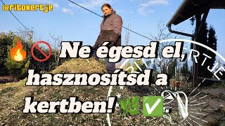 Ne égesd el! Hasznosítsd a smaragd tuját a kertedben! 🌿