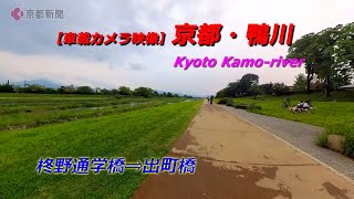 京都市内、新緑の鴨川河川敷・柊野通学橋⇒出町橋【4K動画・車載カメラ映像】（2024年5月7日　京都市内）　 Fresh greenery of the Kamogawa riverbed