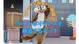 【#チップとデール小劇場】ジャンボリダンスを練習するチップ