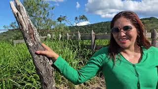 🍀🏞 TERRENO MARAVILHOSO COM LINDA VISTA PANORÂMICA E PREÇO MUITO BOM - OPORTUNIDADE ÚNICA - VEM! 🍀🏞