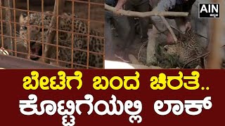 Leopard : ಕೊನೆಗೂ ಸೆರೆಯಾದ  ಡೆಡ್ಲಿ ಚಿರತೆ  | AINKANNADA |