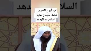 من أروع القصص قصة سليمان عليه السلام مع الهدهد😍. الشيخ بدرالمشاري🌹