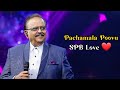 Pachamala Poovu high quality audio Song | Kizhakku Vaasal | SPB love songs | SPB | Ilaiyaraaja