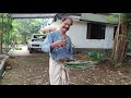 drumstick cooking traditional മു രി ങാ കായ കുക്കിംഗ് പുരാതന രീതി