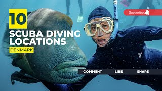 [2023] Denmark Dive Sites That Will Blow Your Mind: Our Top 10 Scuba Diving Locations