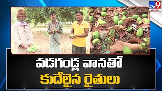 వడగండ్ల వానతో  కుదేలైన రైతులు | Heavy Rain Damages Crops - TV9