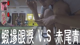 釣蝦實驗 網路上最夯的蝦餌 蝦場老闆的眼淚跟赤尾青 同時座釣哪個會比較咬呢(LEO利歐TV)