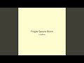 Fragile Serene Storm