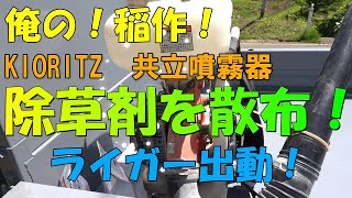 【84】俺の稲作！KIORITZ 共立噴霧器　背負い式　田んぼに除草剤散布　農業　田舎暮らし