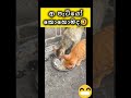 newtrending අඩෝ අපි ඉවරයි අයියේ🤣 respect love funny theend waitfortheend amazing sad reels