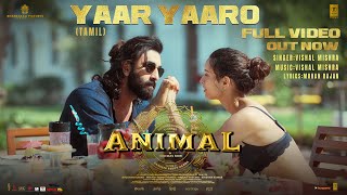 ANIMAL:Yaar Yaaro (Full Video) Ranbir Kapoor,Tripti Dimri | Sandeep V | Vishal M | Bhushan K