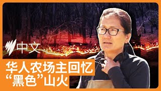 维州进入山火高发季，华人农场主回忆“黑色星期六”至暗时刻  |  SBS中文