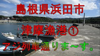 【海中動画】第42巻：島根県浜田市津摩漁港①！の巻