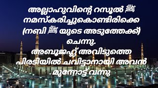 റസൂല്‍ ﷺ നമസ്കരിച്ചുകൊണ്ടിരിക്കെ (നബി ﷺ യുടെ അടുത്തേക്ക്) ചെന്നു. (അങ്ങനെ) അവിടുത്തെ പിരടിയില്‍ ചവി