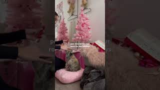 the best part! pinkmas💗 #girlygirl #pinkmas #christmas #christmasdecor #pink #pinterest #roomtour