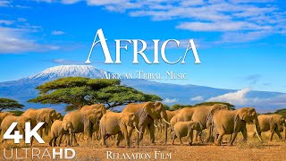 AFRICA 4K • Breathtaking Wildlife, Tribal Music - Relaxation Film - Nature 4k  U