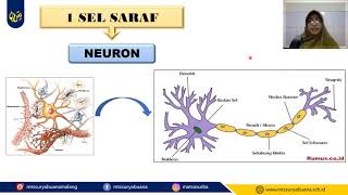 IPA Kelas 9 - Kelistrikan Pada Sel Saraf