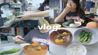 VLOG | 孕期日记 | 14w+4一天吃什么 | 肉眼可见的圆润起来了