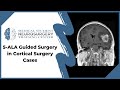 5-ALA Guided Surgery in Cortical Surgery Cases