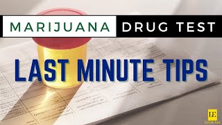 THIS COULD SAVE YOU | Prepare DON'T Panic