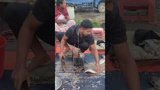 AMAZING FISH CUTTING SKILLS  86