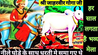 Jaharveer Goga ji mandir Gogamedi Hanumaangarh Rajasthan | जाहरवीर गोगा जी