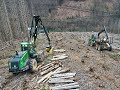 🌲4K| John Deere 1470G & 1110E im Sturm & Käferholz • Harvester & Forwarder Action • Forst Zobel🌲