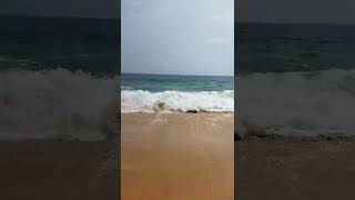 Arabian sea kerala golden sand beach