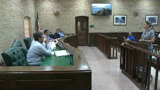 Council Meeting 06032019