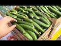 makkah ki sabzi mandi vegetable market aur khujoor market