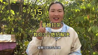 蜜蜂打架，教您3个绝招解决。蜜蜂打架的处理方法 中蜂