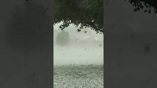 Insane Hail Storm Strips Trees! Epic Hail Storms Clip 05  #shorts