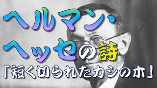 【詩】 ヘルマン・ヘッセの詩⑤「短く切られたカシの木」