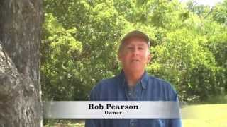 Memory Tree | Memorial Gift | Plant a Tree in Memory - (800) To-A-Tree