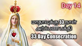 மாதாவுக்கு 33 நாள் அர்ப்பண பக்தியின் 14ம் நாள் || 14th day of 33 Day Consecration to IHM