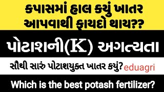 કાપસમાં હાલ કયું ખાતર આપવું? પોટાશની અગત્યતા?Which is the best potash fertilizer? byrajesh zampadiya