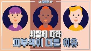 황인, 흑인, 백인 사람에 따라 피부색이 다른 이유는 무엇일까요