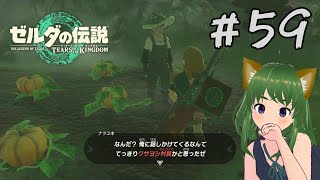 ごめんねコログ(´；ω；`)ティアキン＃59【風夢ふろる】