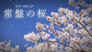 SCP-1857-JP 常盤の桜【ゆっくり解説】