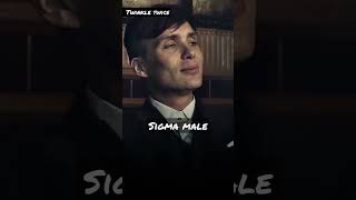 Alpha male vs Sigma male personality #sigmarule #sigma #sigmamale #alpha alpha #alphamale #rule