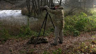 Exposure compensation for tricky light | Photographing the Small Egret | Nikon Z9