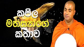 අපේ බුදුරදුන් වැඩ සිටි කාලයේ, වඩු කාර්මියෙක් සෑදු ගුවන් යානය | Koralayagama Saranathissa Thero