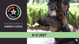 Collier County Sheriff S Office K 9 Unit