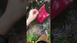 I found Wallet in river #shorts #trending