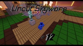 I had to record this video twice | Uncut Skywars #12