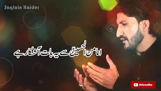 Ana Minal Hussain a.s Saleem Raza Nagri Official Noha 2015-16 |Whatsapp Status|30 Sec
