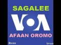 VOA Afaan Oromoo 18 Ama 2017