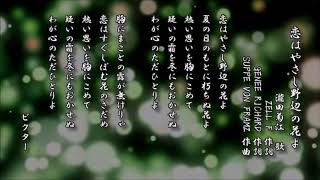 恋はやさし野辺の花よ　瀧田菊江 歌／ZELL F 作詞　GENEE RICHARD 作詞／SUPPE VON FRAMZ 作曲【レコード】