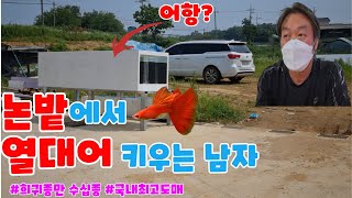 수족관 사장님들도 줄서서 기다리는 국내 최고의 열대어 도매업체! 사업 실패를 딛고 일어난 열대어 성공신화 (단아쿠아 탐방기)